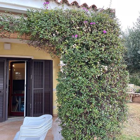 Tavolara Paradise Home Porto San Paolo  Dış mekan fotoğraf