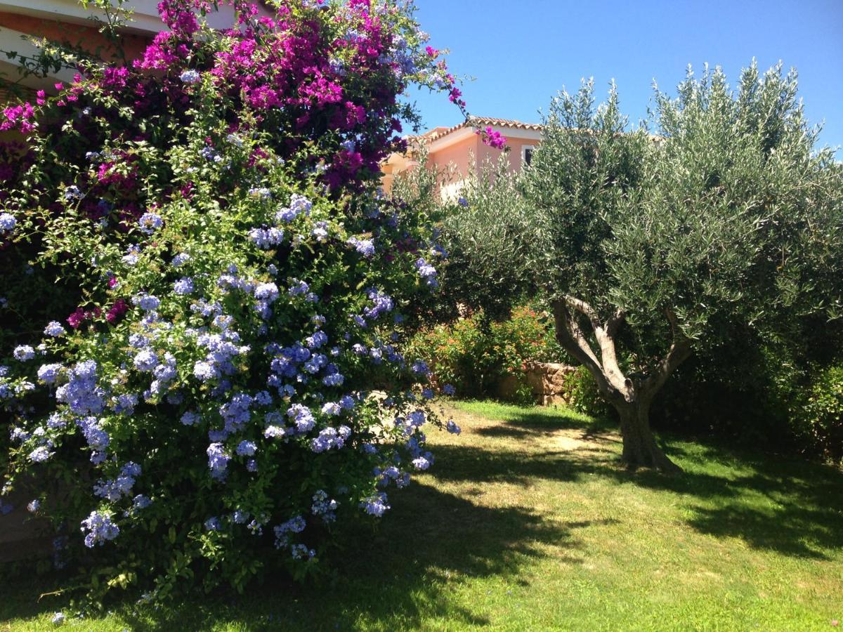 Tavolara Paradise Home Porto San Paolo  Dış mekan fotoğraf