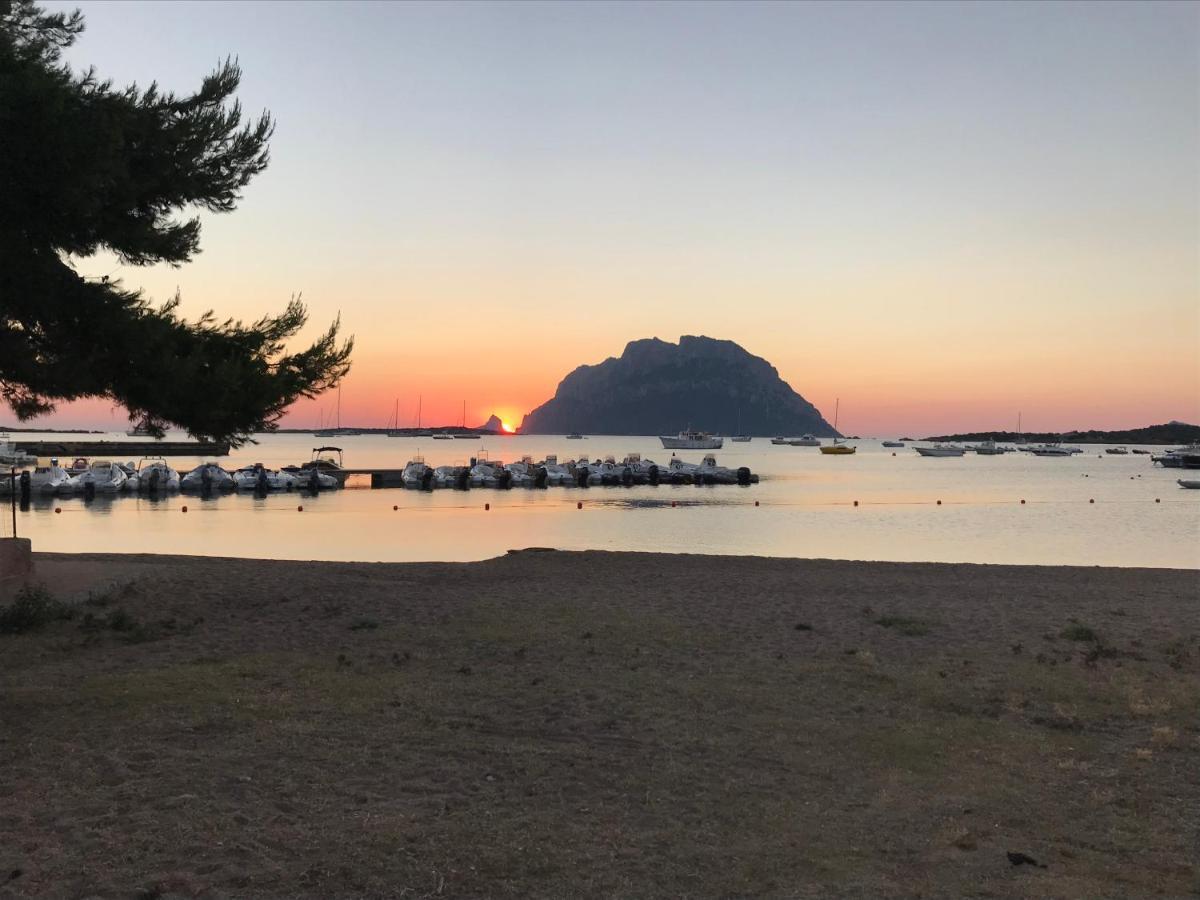 Tavolara Paradise Home Porto San Paolo  Dış mekan fotoğraf