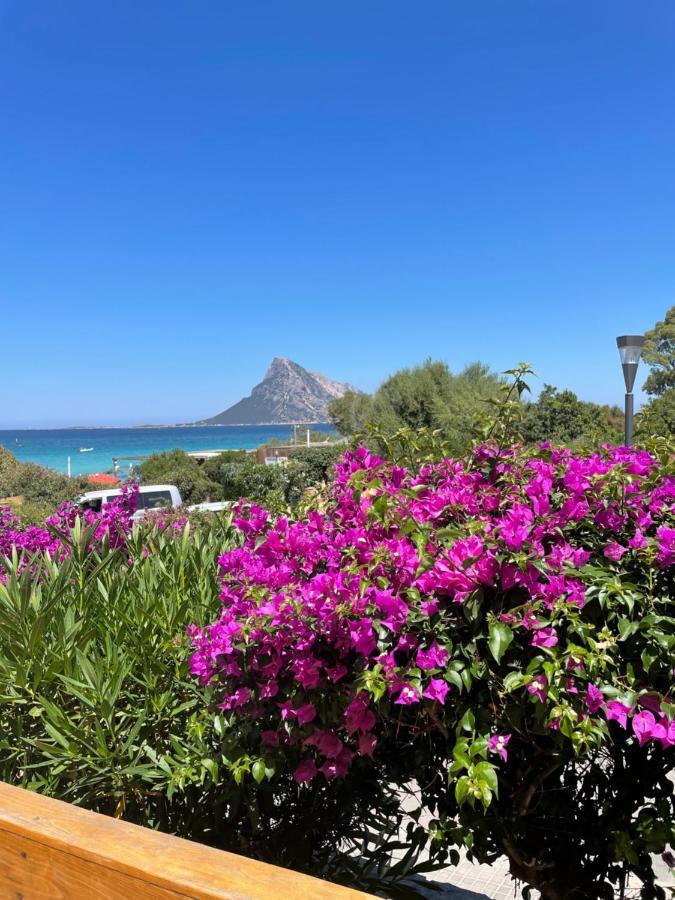 Tavolara Paradise Home Porto San Paolo  Dış mekan fotoğraf