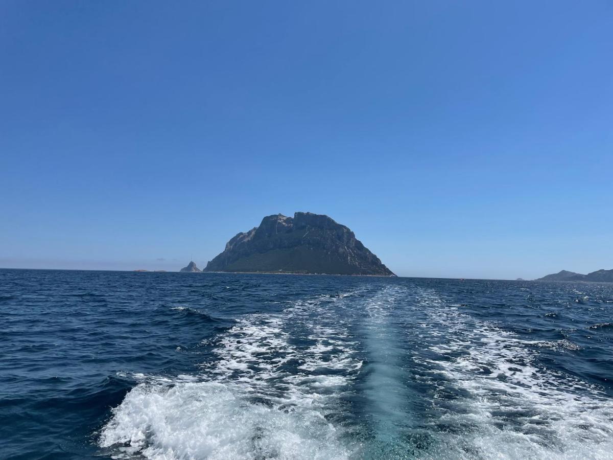 Tavolara Paradise Home Porto San Paolo  Dış mekan fotoğraf