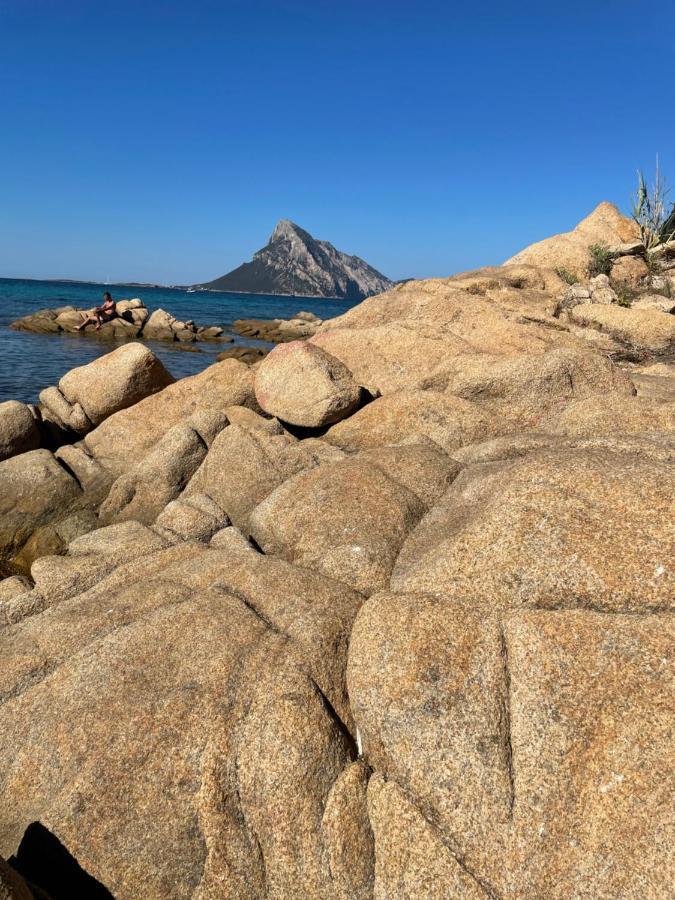 Tavolara Paradise Home Porto San Paolo  Dış mekan fotoğraf