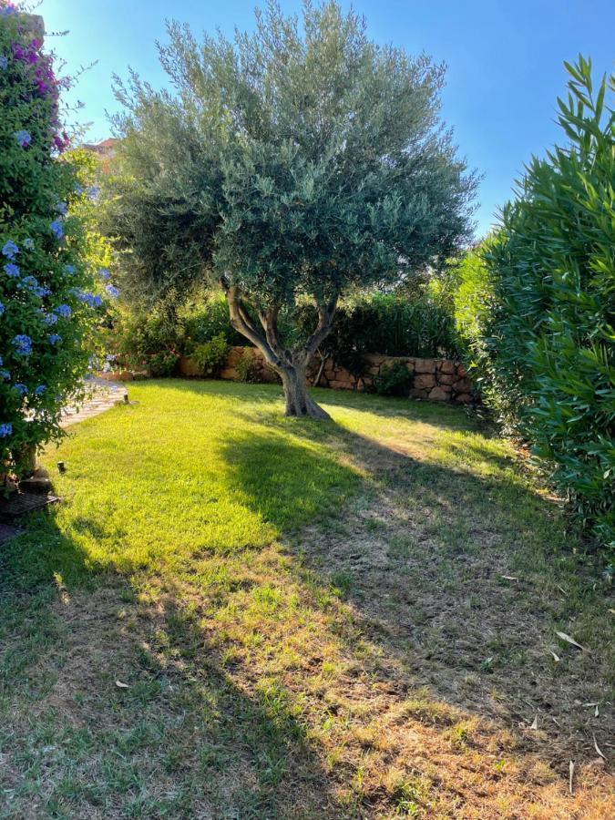 Tavolara Paradise Home Porto San Paolo  Dış mekan fotoğraf
