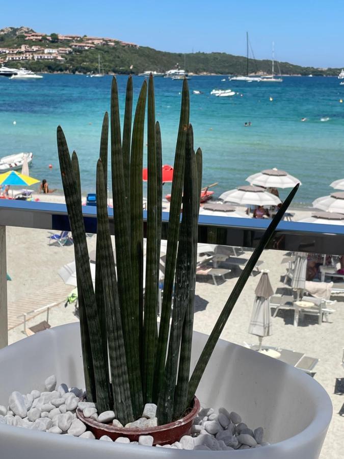 Tavolara Paradise Home Porto San Paolo  Dış mekan fotoğraf