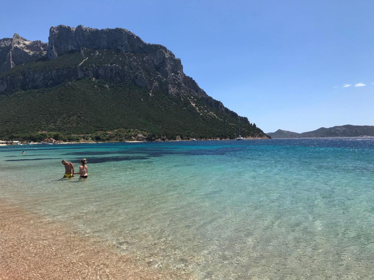Tavolara Paradise Home Porto San Paolo  Dış mekan fotoğraf
