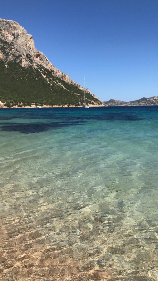 Tavolara Paradise Home Porto San Paolo  Dış mekan fotoğraf