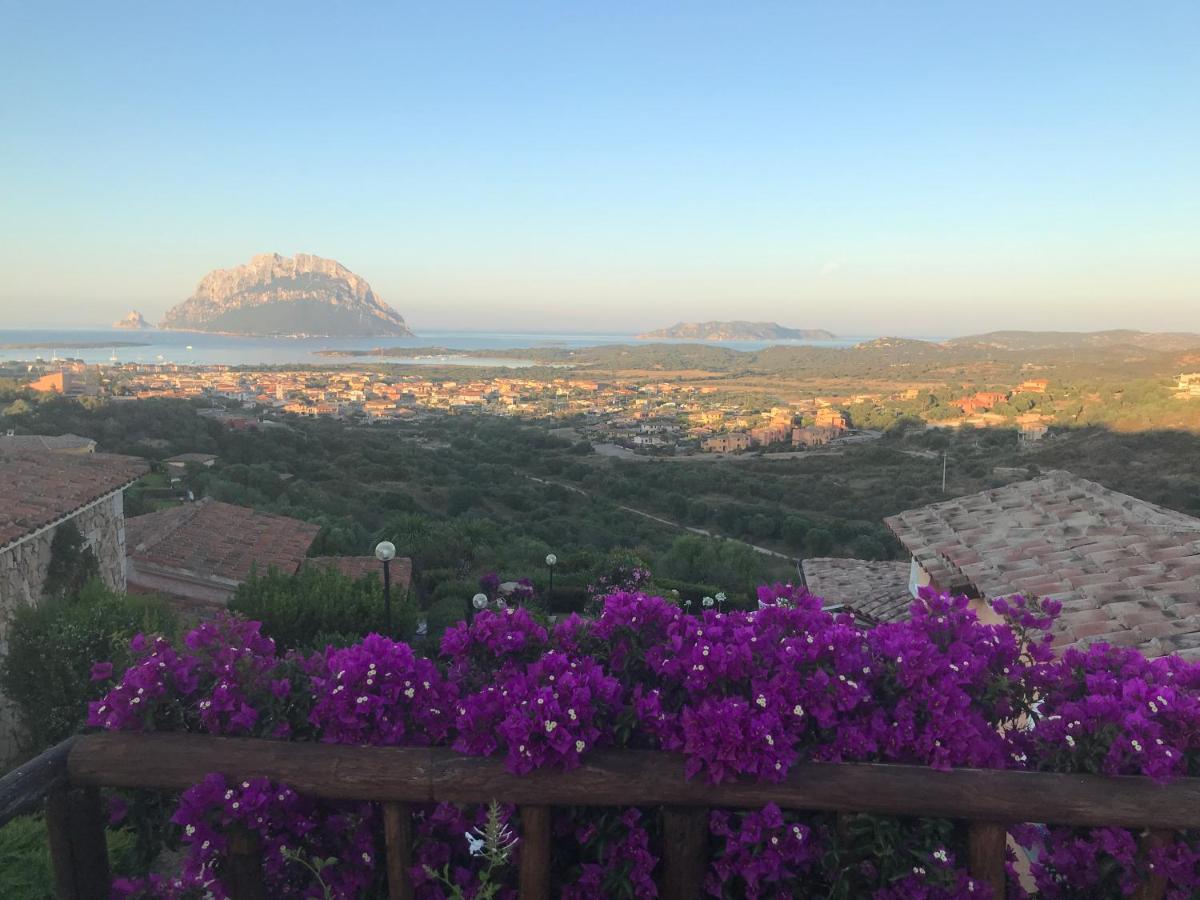 Tavolara Paradise Home Porto San Paolo  Dış mekan fotoğraf