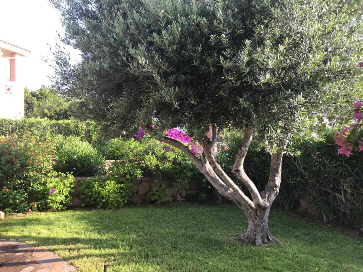 Tavolara Paradise Home Porto San Paolo  Dış mekan fotoğraf